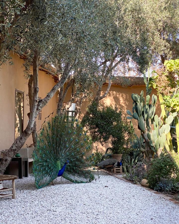 Dar Al Hossoun Hotel Taroudant Buitenkant foto